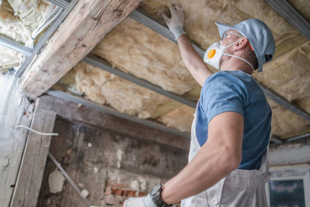 Best Crawl Space Insulation  in Sunbury, PA