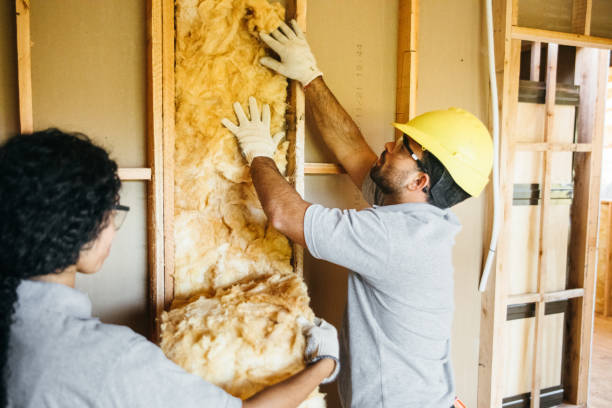 Best Blown-in Insulation  in Sunbury, PA