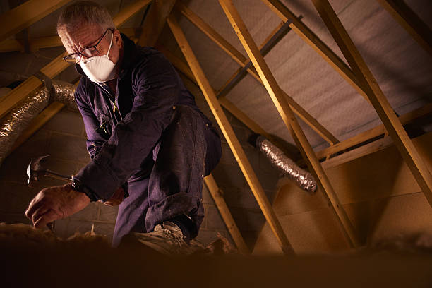 Best Crawl Space Insulation  in Sunbury, PA