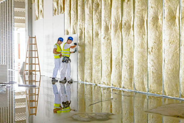Best Spray Foam Insulation  in Sunbury, PA